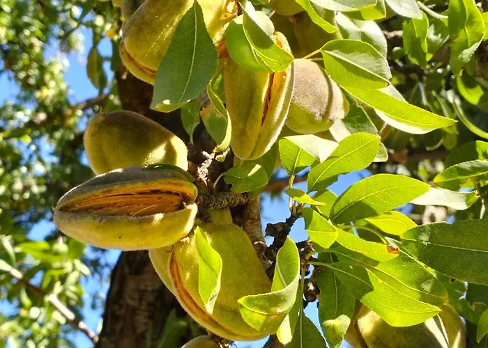 Appartamento La Provence Vous Attend - 2ème étage