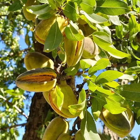 公寓 La Provence Vous Attend - 2eme Etage